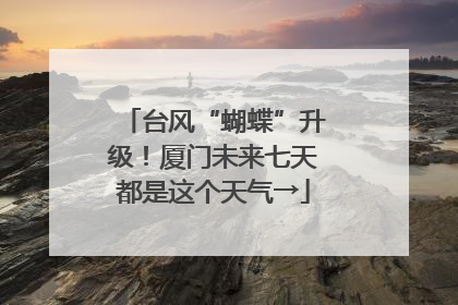 台风“蝴蝶”升级！厦门未来七天都是这个天气→
