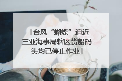 台风“蝴蝶”迫近 三亚海事局辖区货船码头均已停止作业