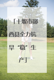 十堰市郧西县全力抗旱“稳”生产
