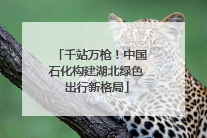 千站万枪！中国石化构建湖北绿色出行新格局