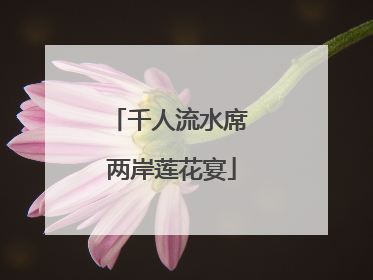 千人流水席 两岸莲花宴