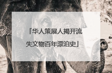 华人策展人揭开流失文物百年漂泊史