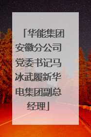 华能集团安徽分公司党委书记马冰武履新华电集团副总经理