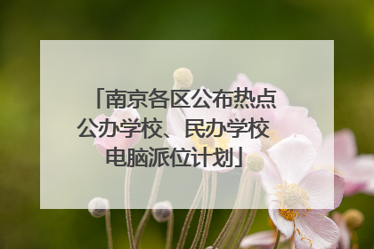 南京各区公布热点公办学校、民办学校电脑派位计划