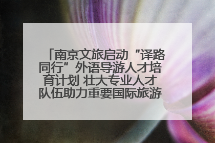 南京文旅启动“译路同行”外语导游人才培育计划 壮大专业人才队伍助力重要国际旅游目的地建设