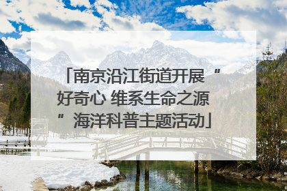南京沿江街道开展“好奇心 维系生命之源”海洋科普主题活动