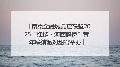 南京金融城党建联盟2025“红链・河西鹊桥”青年联谊派对甜蜜举办