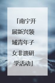 南宁开展新兴领域青年子女非遗研学活动