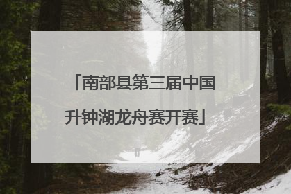 南部县第三届中国升钟湖龙舟赛开赛