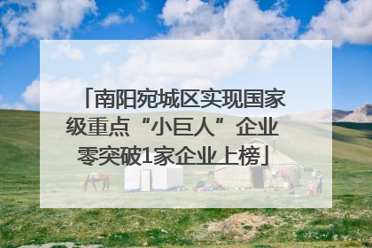 南阳宛城区实现国家级重点“小巨人”企业零突破1家企业上榜