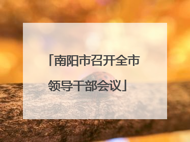 南阳市召开全市领导干部会议