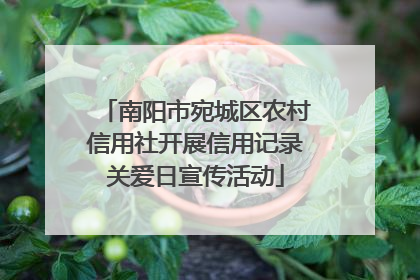南阳市宛城区农村信用社开展信用记录关爱日宣传活动