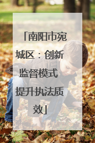 南阳市宛城区：创新监督模式 提升执法质效