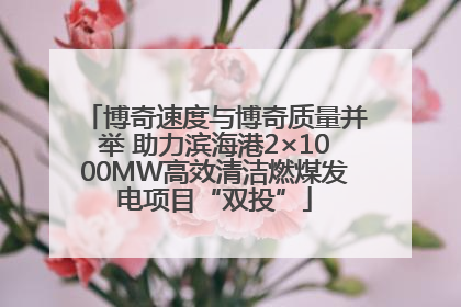 博奇速度与博奇质量并举 助力滨海港2×1000MW高效清洁燃煤发电项目“双投”