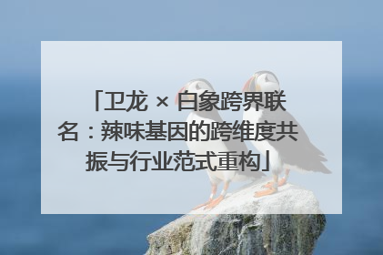 卫龙 × 白象跨界联名：辣味基因的跨维度共振与行业范式重构