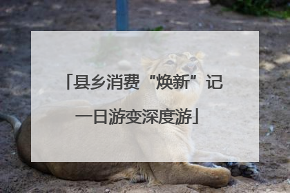 县乡消费“焕新”记 一日游变深度游