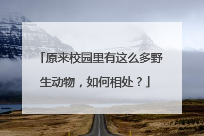 原来校园里有这么多野生动物，如何相处？