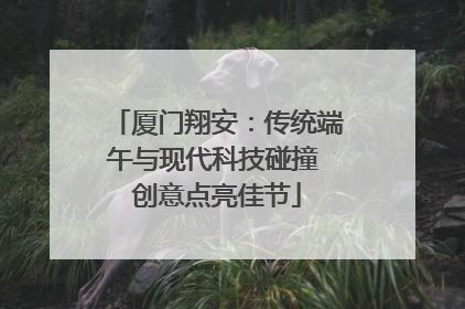 厦门翔安：传统端午与现代科技碰撞 创意点亮佳节