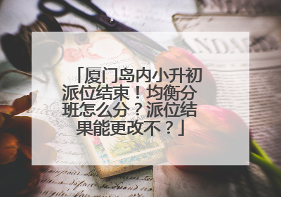 厦门岛内小升初派位结束！均衡分班怎么分？派位结果能更改不？