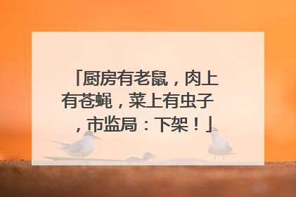 厨房有老鼠，肉上有苍蝇，菜上有虫子，市监局：下架！
