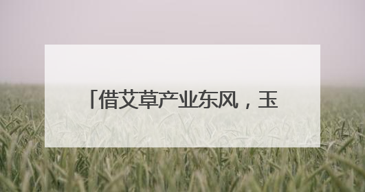 借艾草产业东风，玉玄道创新模式激活乡村产业振兴新动能