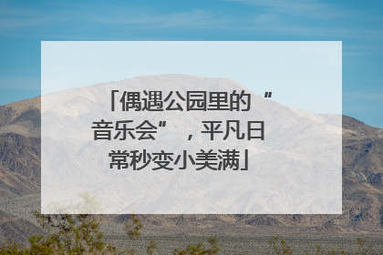 偶遇公园里的“音乐会”，平凡日常秒变小美满