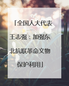 全国人大代表王志强：加强东北抗联革命文物保护利用