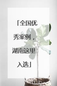 全国优秀案例，湖南这里入选