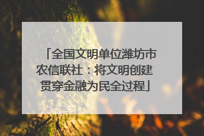 全国文明单位潍坊市农信联社：将文明创建贯穿金融为民全过程