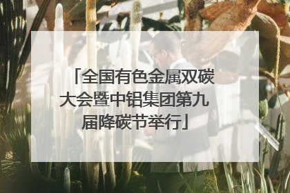 全国有色金属双碳大会暨中铝集团第九届降碳节举行