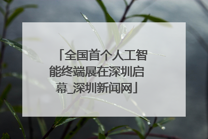 全国首个人工智能终端展在深圳启幕_深圳新闻网