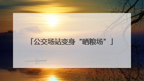 公交场站变身“晒粮场”