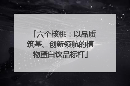 六个核桃：以品质筑基、创新领航的植物蛋白饮品标杆