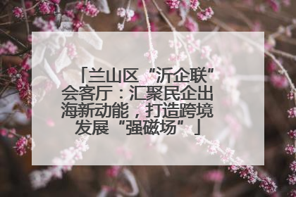 兰山区“沂企联”会客厅：汇聚民企出海新动能，打造跨境发展“强磁场”