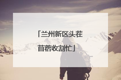 兰州新区头茬苜蓿收割忙