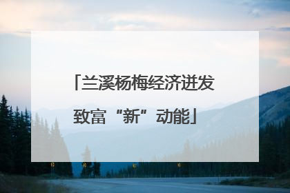 兰溪杨梅经济迸发致富“新”动能