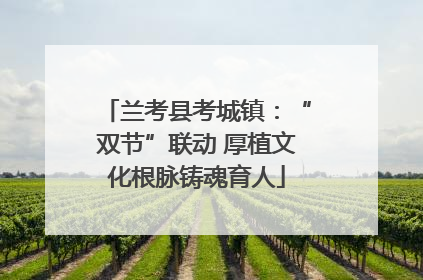 兰考县考城镇：“双节”联动 厚植文化根脉铸魂育人