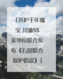 共护千年瑰宝 川渝55家单位联合发布《石窟联合保护倡议》