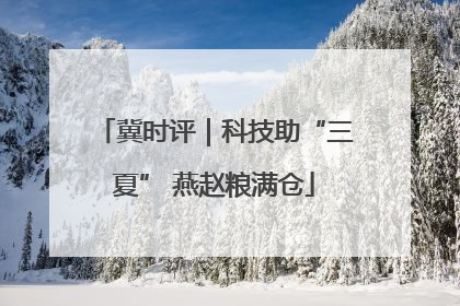 冀时评｜科技助“三夏” 燕赵粮满仓