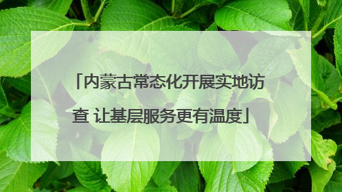 内蒙古常态化开展实地访查 让基层服务更有温度