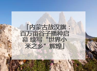 内蒙古敖汉旗：百万亩谷子播种启幕 续写“世界小米之乡”辉煌