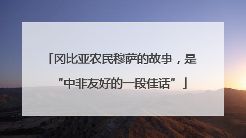 冈比亚农民穆萨的故事，是“中非友好的一段佳话”