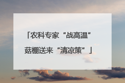 农科专家“战高温” 菇棚送来“清凉策”