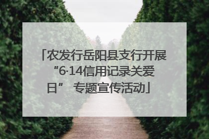 农发行岳阳县支行开展“6·14信用记录关爱日” 专题宣传活动