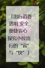 出行消费透明 安全便捷省心 探究小拉出行的“省”与“快”