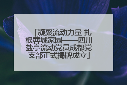 凝聚流动力量 扎根蓉城家园——四川盐亭流动党员成都党支部正式揭牌成立
