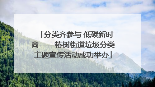 分类齐参与 低碳新时尚——椿树街道垃圾分类主题宣传活动成功举办