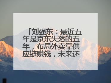 刘强东：最近五年是京东失落的五年，布局外卖靠供应链赚钱，未来还有6个创新项目