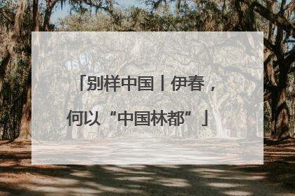 别样中国丨伊春，何以“中国林都”