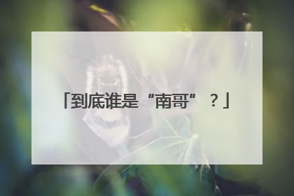 到底谁是“南哥”？